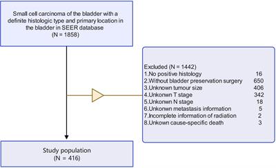 Association between radiotherapy and prognosis in patients with small cell carcinoma of the bladder undergoing bladder-sparing surgery